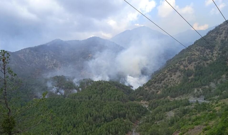  ΚΟΝΙΤΣΑ-Και οι υλοτόμοι του Διστράτου,στην μάχη για την κατάσβεση της πυρκαγιάς στο Σμόλικα