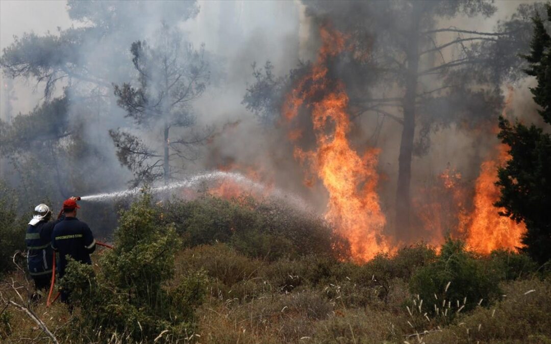 ΚΟΝΙΤΣΑ- Φωτιά έχει ξεσπάσει σε δασική περιοχή στην Αγία Παρασκευή