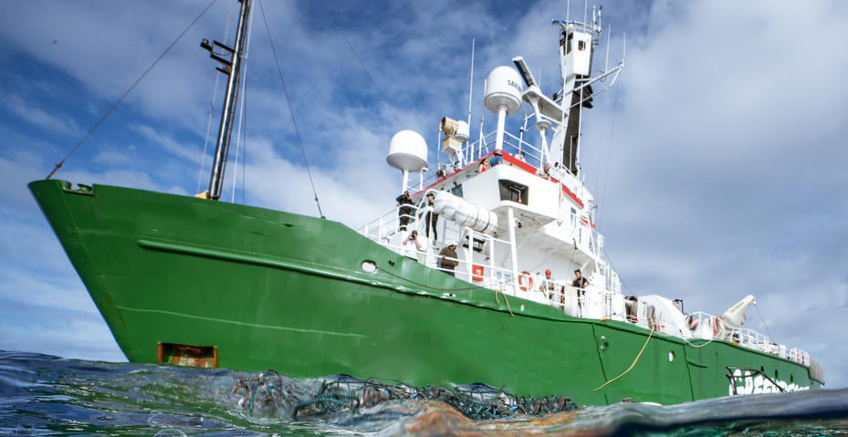 Greenpeace: Επείγον να επικυρωθεί η διεθνής σύμβαση για την προστασία των ωκεανών λόγω της υπεραλιείας