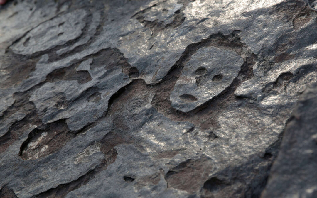 Αμαζόνιος: Αποκαλύφθηκαν βραχογραφίες 1000 ετών!