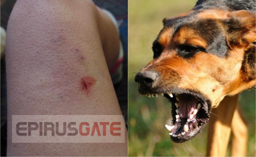 Ιωάννινα: Επίθεση από μεγαλόσωμα σκυλιά στο Μάτσικα δέχτηκαν προχθές συμπολίτες μας