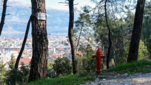 ΠΕ Ιωαννίνων: Απαγόρευση διέλευσης και κυκλοφορίας σε δάση και δασύλλια για τον κίνδυνο πυρκαγιάς