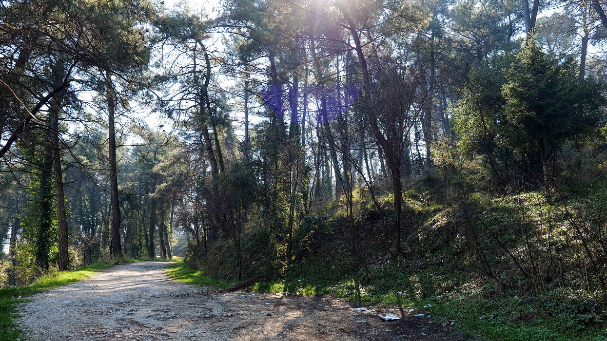 Ο Γ. Αμυράς απαντά στις κατηγορίες ΠΑΣΟΚ για το πρόγραμμα  Antinero: Θεμέλιο προστασίας των δασών