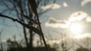 Ένα από τα πιο θερμά καλοκαίρια των τελευταίων ετών αναμένεται να είναι το φετινό