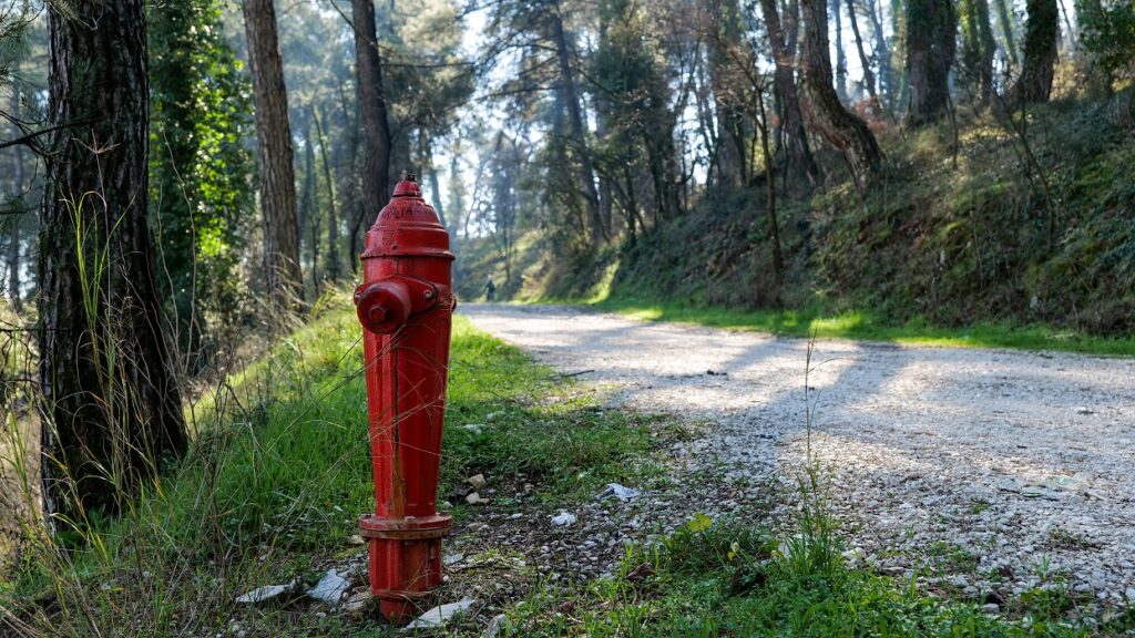 Ιωάννινα: Κατηγορία κινδύνου 3 για πυρκαγιά – Πού απαγορεύεται η κυκλοφορία