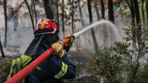 Πυρκαγιά σε χορτολιβαδική έκταση στον Πρωτόπαππα