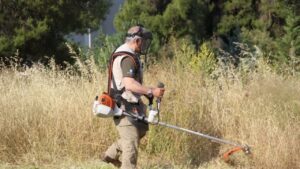 Καθαρισμός οικοπέδων: Άνοιξε στο gov.gr η πλατφόρμα για τις δηλώσεις