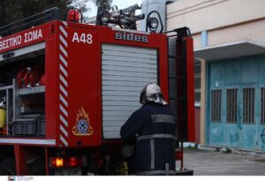 Πυρκαγιά στον Προφήτη Ηλία στα Καρδαμίτσια