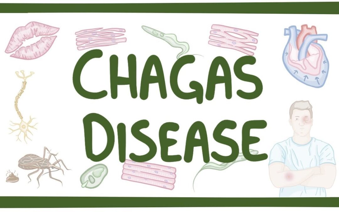 Παγκόσμια Ημέρα για τη νόσο Τσάγκας