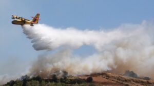 Πυρκαγιά σε χορτολιβαδική έκταση στη Νέα Σινώπη Πρέβεζας