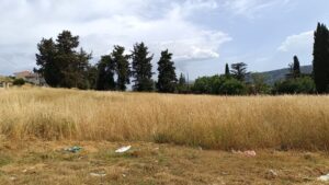 Παράταση υποβολής δηλώσεων καθαρισμού οικοπέδων στην πλατφόρμα akatharista.apps.gov.gr