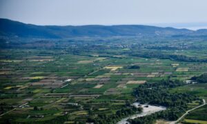 Αγροτεμάχια κάτω των 4 στρεμμάτων: Τι ισχύει για δόμηση και άδειες – Όλες οι προϋποθέσεις