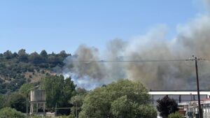 Εμπρησμό πίσω από την πυρκαγιά στη γέφυρα Καλογήρου ερευνούν οι αρχές