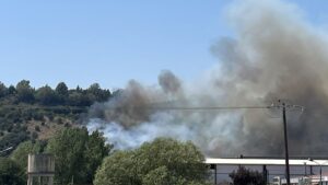 Αναδασωτέα κρίθηκε η καμμένη δασική έκταση στην Γέφυρα Καλογήρου