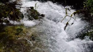 Υψηλές θερμοκρασίες και αυξημένη ζήτηση “πιέζουν” το υδάτινο δυναμικό της Ηπείρου