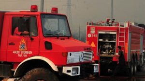 Υπό έλεγχο η φωτιά που ξέσπασε κοντά στο κέντρο αποκατάστασης Ολύμπιον