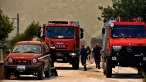 Συναγερμός στους Πυροσβεστικούς Σταθμούς Ιωαννίνων – Τρεις εστίες φωτιάς τώρα στα Καρδαμίτσια