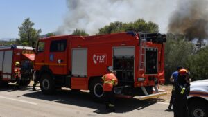 Πυρκαγιά σε ξηρά χόρτα στην περιοχή Ελούσας Δήμου Ζίτσας