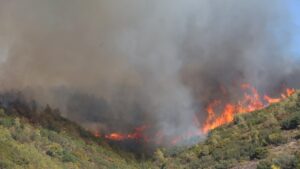 Επιχειρησιακή κινητοποίηση της Πυροσβεστικής Ηπείρου στην πυρκαγιά στον Βαρνάβα Αττικής