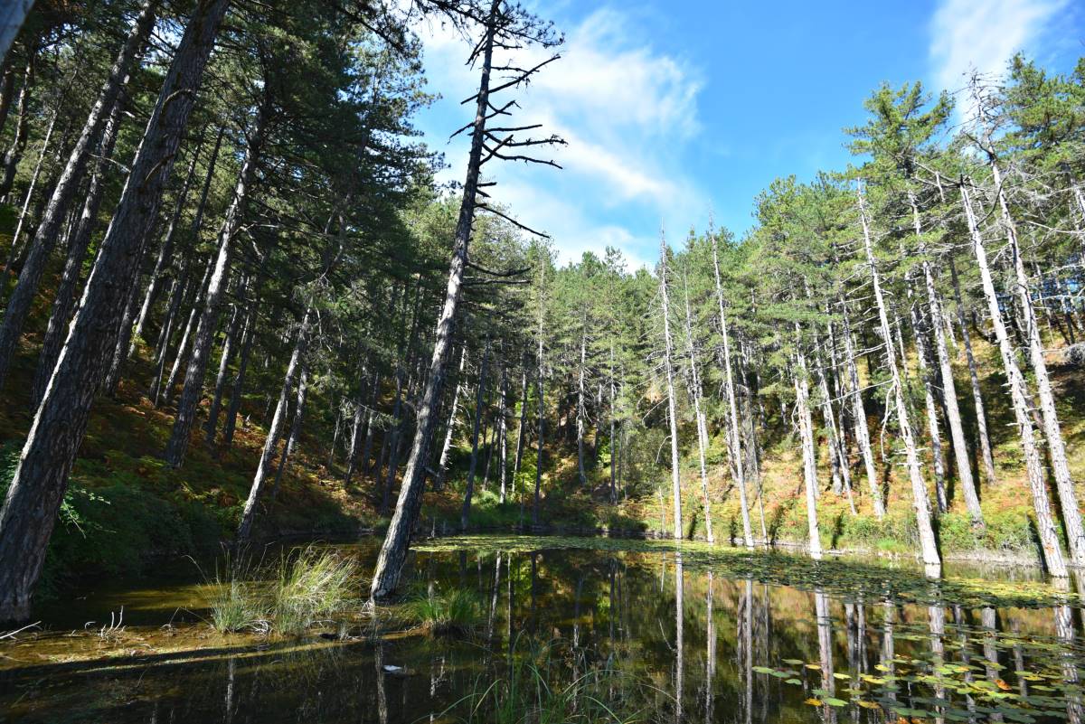 Ήπειρος: Αίθριος καιρός με θερμοκρασίες έως 34 βαθμούς (βίντεο)