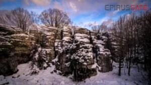Μονοδένδρι: Το μοναδικό και εντυπωσιακό πέτρινο «δάσος» της Ελλάδας (βίντεο)