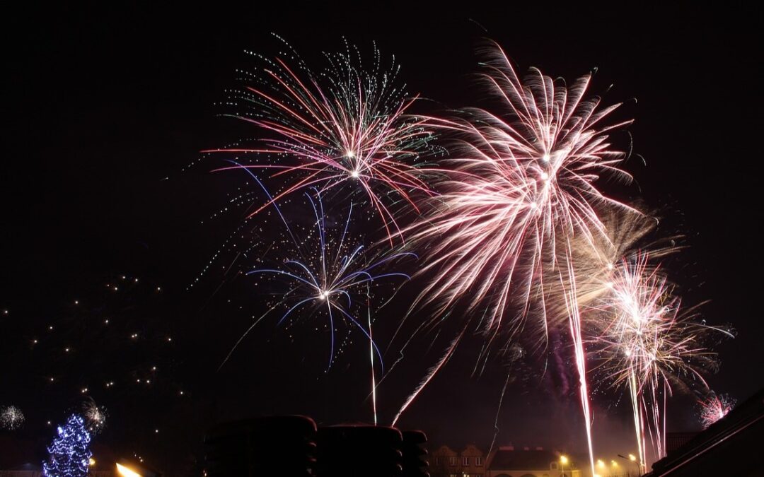 «Δεν είναι διασκεδαστικά για όλους»: Το σκίτσο της ΕΛ.ΑΣ. για τα πυροτεχνήματα τα Χριστούγεννα