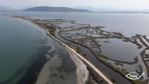 Εκπαιδευτικό Πρόγραμμα Σχολείων: SOS για τον Αμβρακικό – Επικίνδυνα Ευρήματα από την Ανάλυση του Νερού