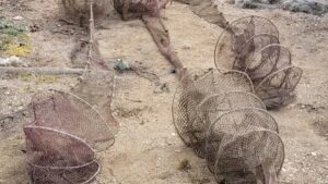 Εργαλεία παράνομης αλιείας κατέσχεσε το Λιμεναρχείο Πρέβεζας