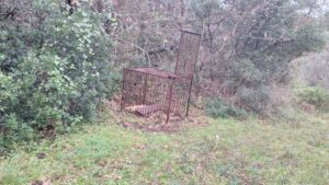 Ομοσπονδιακή Θηροφυλακή: Τι παραβάσεις εντοπίστηκαν, λίγο πριν τη λήξη της κυνηγετικής περιόδου