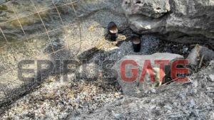 Νεκρή ανασύρθηκε ηλικιωμένη από την Λίμνη Παμβώτιδα! (φωτογραφίες+βίντεο)