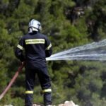 Πυροσβέστες Ηπείρου: Χρειάζεται άμεση ενίσχυση πριν το καλοκαίρι
