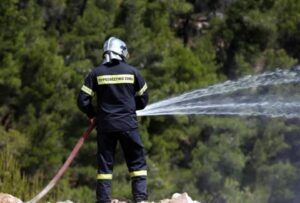 Πυροσβέστες Ηπείρου: Χρειάζεται άμεση ενίσχυση πριν το καλοκαίρι