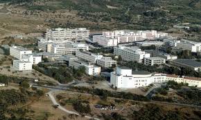 Φοιτητής κρεμάστηκε σε δέντρο, στην Πανεπιστημιούπολη του Ζωγράφου!