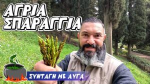 Πώς να Αναγνωρίσεις & να Μαζέψεις Άγρια Σπαράγγια | Συνταγή με Σπαράγγια & Αυγά στη Φύση