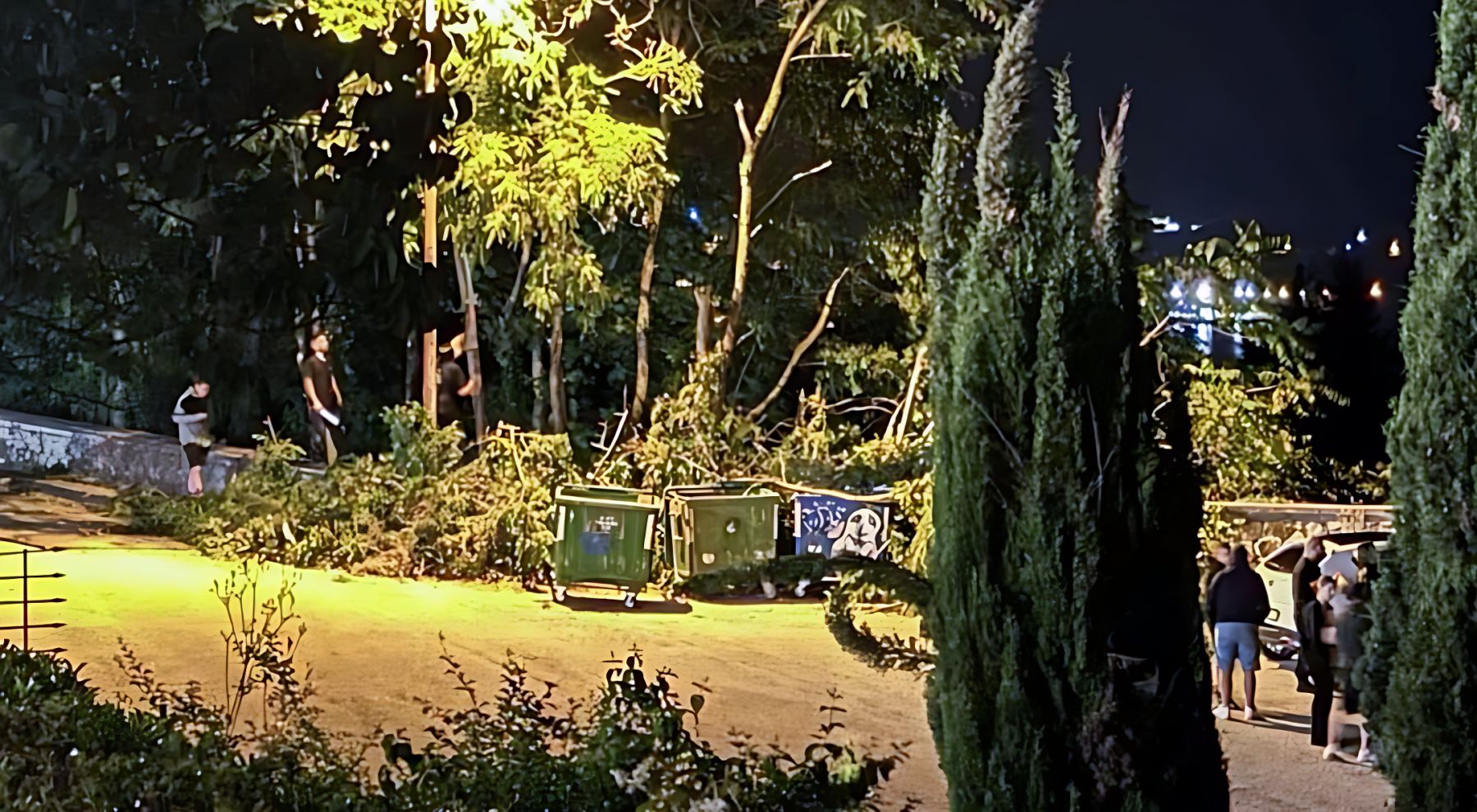 Καμία άδεια για κοπές δέντρων στο δάσος του Φρόντζου από το Δήμο Ιωαννιτών