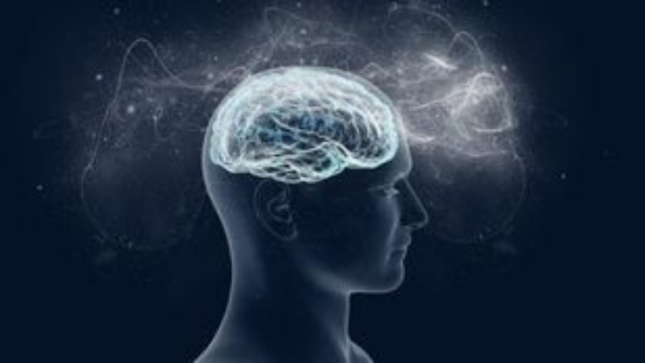 Η Άνοια στο Επίκεντρο: Ενημερωτικές Δράσεις στον Δήμο Μετσόβου