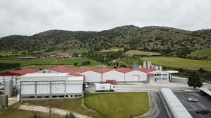 Η φέτα ΗΠΕΙΡΟΣ στην κορυφή: Ηγέτιδα δύναμη της ΟΠΤΙΜΑ Α.Ε.