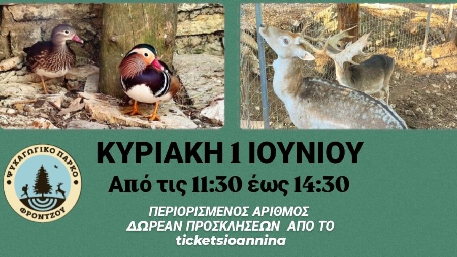 Το καλοκαίρι ξεκινά στο Ψυχαγωγικό Πάρκο Φρόντζου με φύση, παιχνίδι και παιδικά χαμόγελα