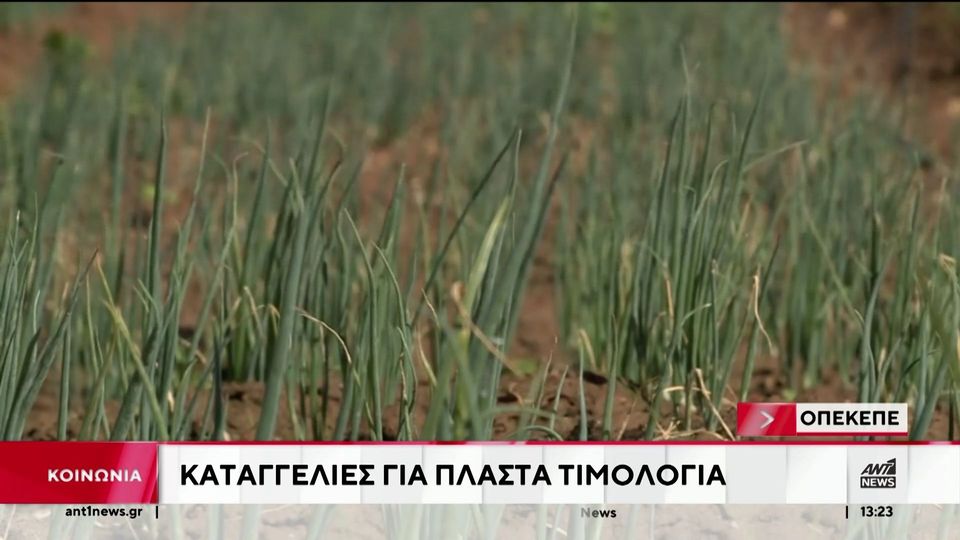 ΟΠΕΚΕΠΕ: Μπλόκο σε πληρωμές μέχρι να “ξεκαθαρίσει το τοπίο” (βίντεο)