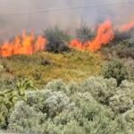 Πρέβεζα: Έβαλαν φωτιά σε παλέτες, κάηκαν 25 στρέμματα και συνελήφθησαν