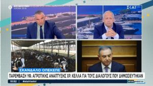 Σκάνδαλο ΟΠΕΚΕΠΕ: Τι πραγματικά είπε ο Κέλλας στον Μπαμπασίδη για τον Περιφερειάρχη Ηπείρου (βίντεο)