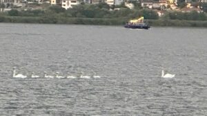 Αραιές νεφώσεις και σταθερό κρύο στο ξεκίνημα της εβδομάδας (βίντεο)