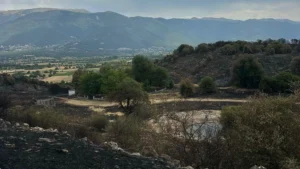 Ενωμένοι απέναντι στη φωτιά – Ευχαριστήριο μήνυμα από Ζίτσα και Πρωτόπαππα