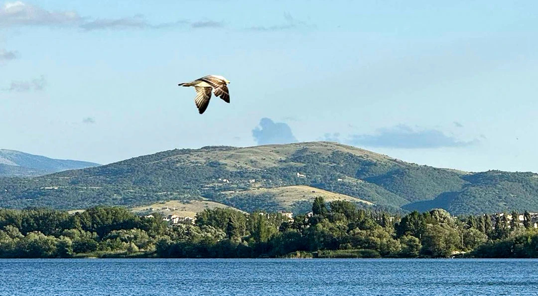 Μπορεί η Λίμνη των Ιωαννίνων να αναγεννηθεί;