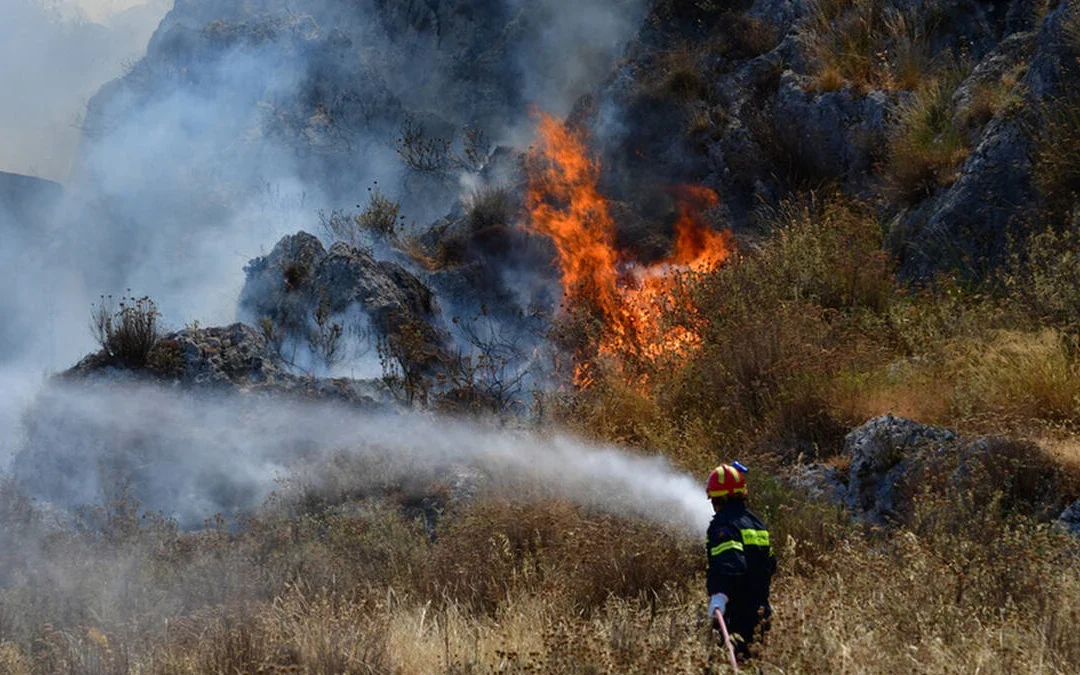 Γ. Κεφαλογιάννης για αντιπυρική περίοδο: Ο καθαρισμός οικοπέδων είναι ένα από τα βασικά εργαλεία πρόληψης
