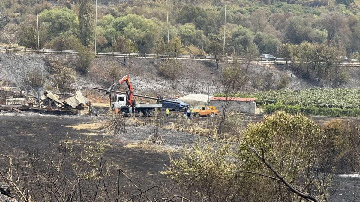 Περιφερειάρχης Ηπείρου: Αποκαθίσταται η ηλεκτροδότηση σε Κλεισούρα, Παναγία και Κερασώνα