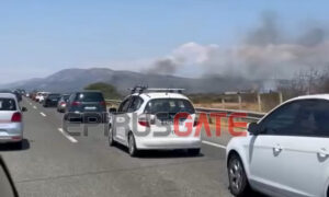 Φωτιά σε αγροτική περιοχή κατά μήκος της Ιόνιας Οδού στη Γουριώτισσα Αγρινίου (βίντεο)