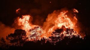 Κάλεσμα αλληλεγγύης από το Επιμελητήριο Πρέβεζας για τους πληγέντες της πυρκαγιάς