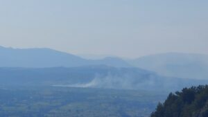 Φωτιά σε δασική περιοχή μεταξύ Πρωτόππαπα και Πετσαλίου