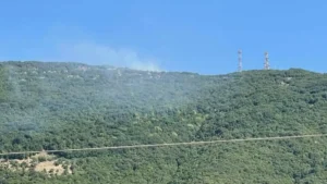 Γρήγορη αντιμετώπιση πυρκαγιάς στο Τέροβο Ιωαννίνων